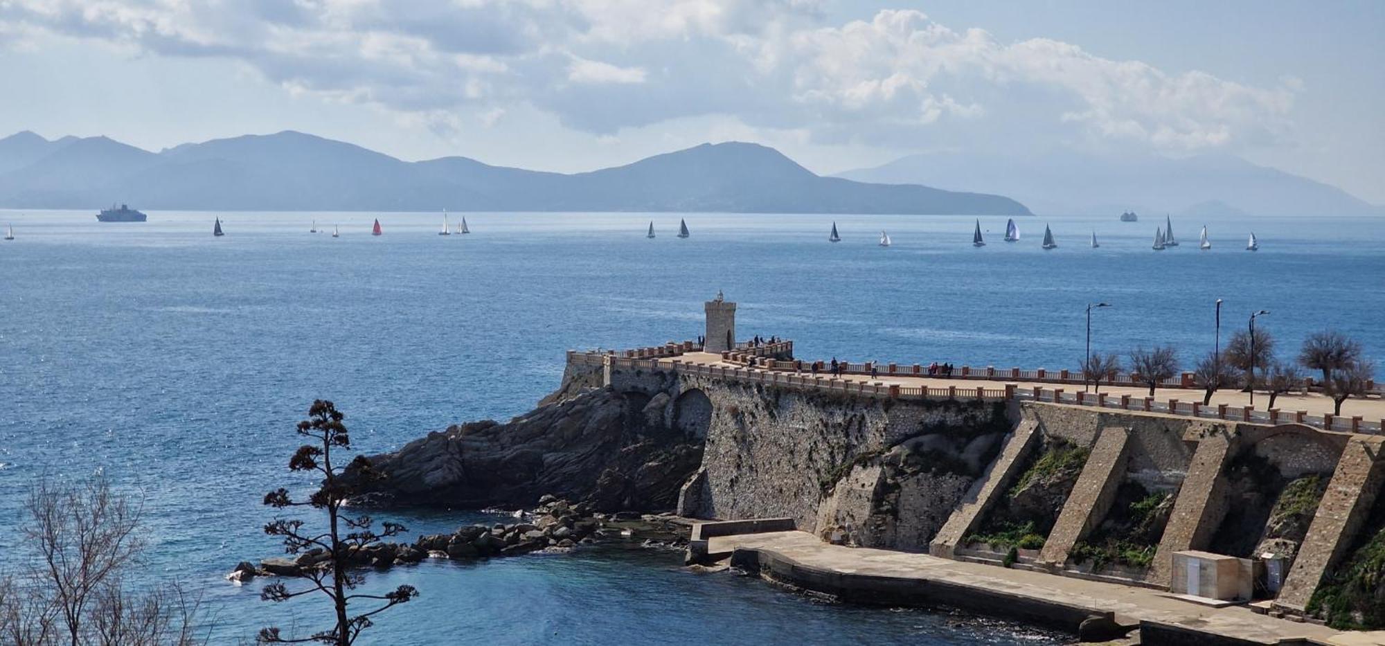 Casa Ilanfra - Appartamenti Gabbiano, Farfalla E Stella Marina Piombino Eksteriør bilde